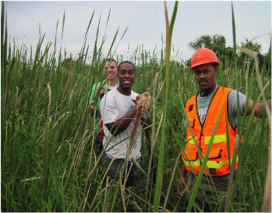 Two students and a lead researcher are out in the field studying a marshland with tall grass. 