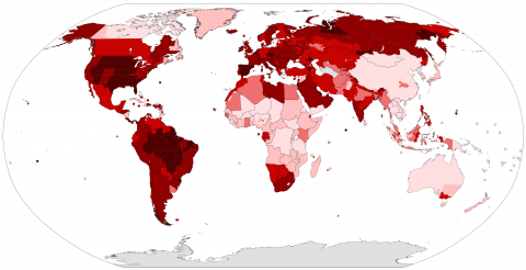 Global incidence of the COVID-19 pandemic (November 8, 2020).