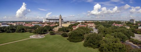 View of LSU Campus