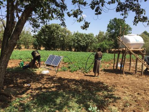 Students introducing dry period irrigation in rural communities to produce vegetables using a solar pump that draws water from shallow wells.